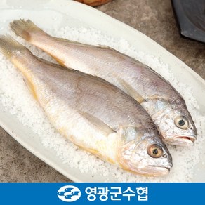 [1+1] 영광군수협 법성포 국내산 굴비 지퍼백포장 20마리x2세트(총 40마리), 1.0kg(17cm내외) x 2세트, 2개