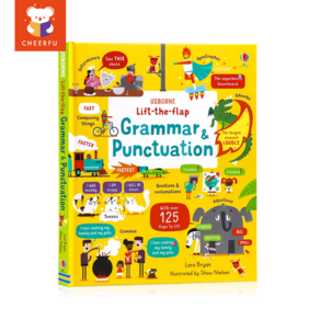 Usborne Lift the Flap Grammar and Punctuation 교육용 영어 그림 플랩북 어린이 보드 하드커버북