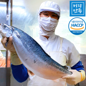 [미각만족] HACCP 얼리지않은 노르웨이 생연어 연어회 필렛 (몸+뱃살) 2kg 1kg 500g 300g