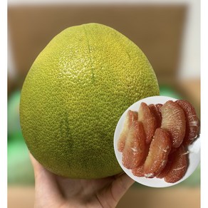 베트남 자몽 VIET NAM 자몽 핑크 포멜로 베트남 포멜로 PINK POMELO (1과 1.2kg~1.5kg)