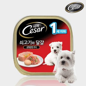 시저 1세이하 퍼피 쇠고기 계란 캔 100g