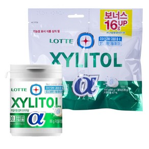 롯데 자일리톨 알파 껌 용기86g +리필102g GUM 입가심, 1개