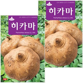 세인화분 히카마 50립 - 씨앗, 2개