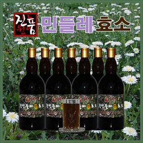 장녹원 민들레효소 1100ml