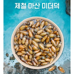 미더덕 오만디 산지직송 통영고성 마산어시장 참미더덕 오만디 손질횟감, 1개, 1kg