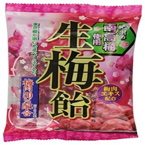 Ribon Nama Ume Plum Hard Candy 3.87 Ounce Ribon Nama Ume 매실 하드 캔디 3.87 온스