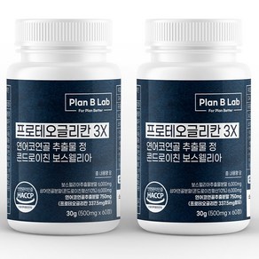 플랜비랩 프로테오글리칸 3X 연어코연골 추출물 750mg 콘드로이친 보스웰리아, 2개, 60정