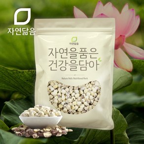 자연닮음 수입 껍질 깐 연자육 연밥 연꽃씨앗 1kg