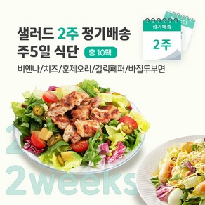 [포켓샐러드] 샐러드 2주 정기배송 주5일 (비엔나+치즈+훈제오리+갈릭페퍼+바질)