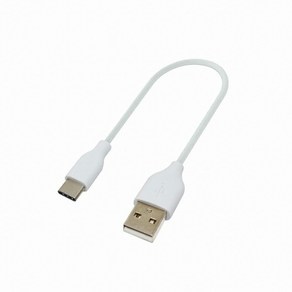 대원TMT USB3.1 C타입 to USB2.0 케이블 0.2M 데이터 충전 DW-U31AC-0.2M