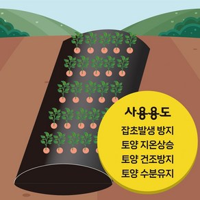 [신속상품] 10m 텃밭용 주말농장 유공 멀칭비닐, 멀칭비닐_135CMx10M