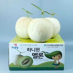 [핵인싸 메론]춘천 하니원 멜론 -메론의 끝판 왕 하니원메론, 1수[특과], 1박스