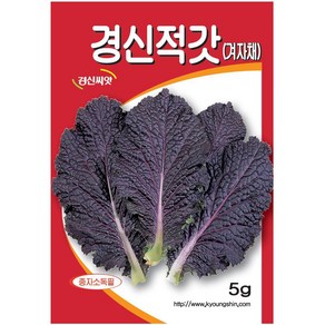 (씨앗) 적겨자 - 붉은색 겨자채 - 매운맛 쌈채소 - 적색 겨자채 씨앗 종자 - 5g, 1개