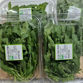 [바오팜] 유기농 와일드루꼴라 샐러드 채소 농장직송, 100g, 2개