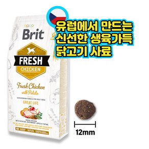 브릿 프레쉬 건강한삶 치킨 12kg, 1개, 닭