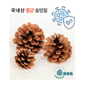 멸균 솔방울 국산 천연 인테리어 소품 공예 크리스마스 장식, 소형 3~4 cm 30개