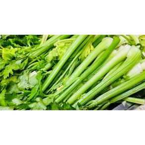 [국산/국내산] 아삭아삭 신선한 샐러리 2kg 샐러리스틱 샐러리 셀러리 celery 샐러리2kg Celery 새러리