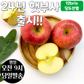 [12브릭스 당도선별] 맛난일상 고당도 가정용 쥬스용 흠집 못난이 사과 5kg (15~33입)