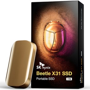 SK하이닉스 Beetle X31 DRAM 탑재 외장 SSD + 전용 케이스