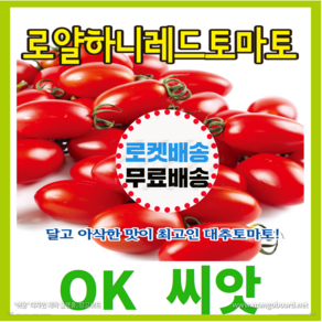 [OK씨앗] [로얄하니레드토마토] 토마토씨앗 종자(오케이씨앗), 1개