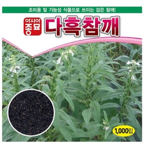 다흑참깨 1000립 참깨씨앗 유기농곡물 아시아종묘 텃밭 주말농장 베란다채소키우기, 1개