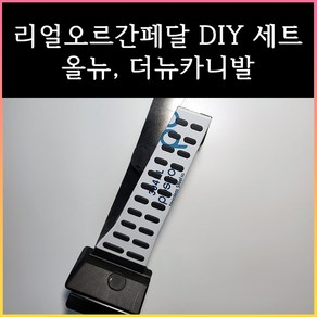 올뉴/더뉴 카니발 오르간페달