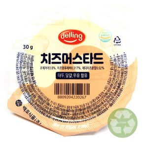 푸드올마켓_ 델링 일회용 치즈머스타드소스 한박스(30g x 100ea), 30g, 100개