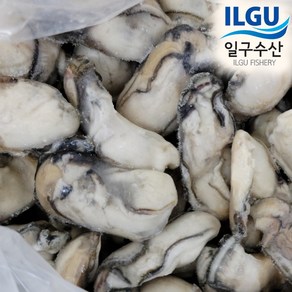 [일구수산]싱싱한 통영 냉동굴 (iqf) (조리용)/산지/직접생산