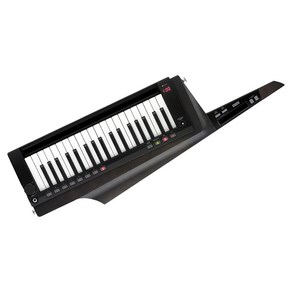 KORG 코르그 - KEYTAR 숄더 키보드 RK-100S 2 블랙 RK-100S2-BK, 상세페이지 참조, 상세페이지 참조