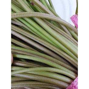 [달고 맛있는] 생 고구마순 고구마줄기, 1kg, 1개