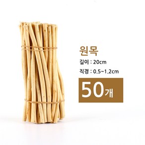 천연 나무막대 모음 1묶음 50개, 1통, 원목20cm