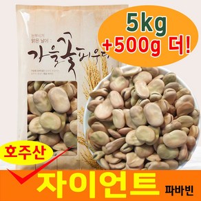 (큰나무+내편TV제휴) 호주 파바빈 5kg+500g 더!, 1개, 5kg