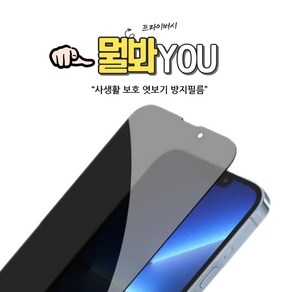 갤럭시S22울트라/S908 사생활 액정 보호 필름 지문방지 선명한화질 YOU AG 오리지널 특수필름 곡면 커버, 1개