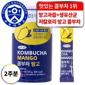 RKR 진짜 맛있는 17종 유산균 혼합 콤부차 망고, 5g, 14개입, 1개