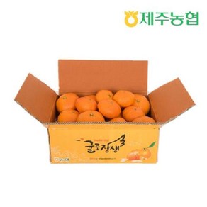 제농협 귤로장생 제주 햇 레드향 4kg, 없음, 1개