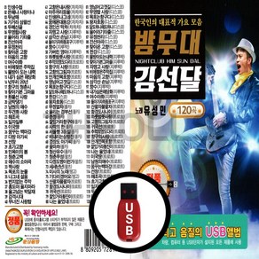 [더올스] 정품 USB / SD 밤무대 김선달 120곡, USB(차량용)