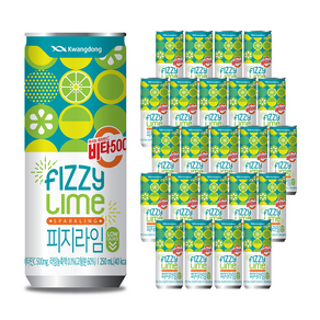 비타500 피지라임, 250ml, 312개