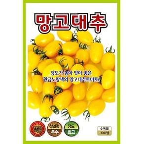 토마토 씨앗모음, 1개