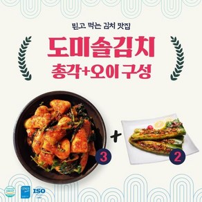 eTV 도미솔김치 총각김치3kg+오이통김치2kg