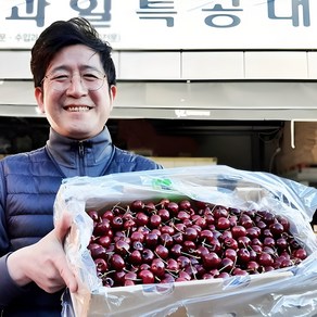 과일특공대 프리미엄 고당도 생 체리 1kg 2kg 왕체리, 생체리 9.5row, 1개