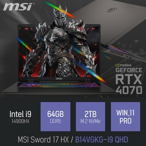 MSI 소드 17 HX B14VGKG-i9 QHD