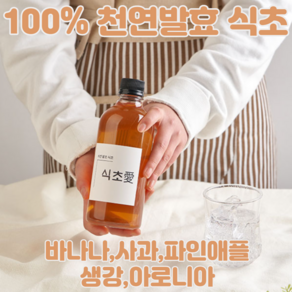 마시는 천연 자연 발효 과일 식초 사과 파인애플 생강 아로니아 바나나 식초, 아로니아식초, 500ml, 1개