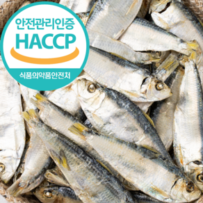 식당용육수용 디포리1.5kg (베트남산) 다시용 국물멸치, 1개