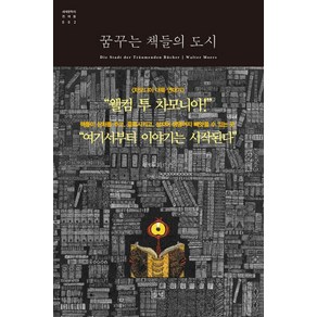 들녘 꿈꾸는 책들의 도시 (9788975276293), 발터 뫼르스