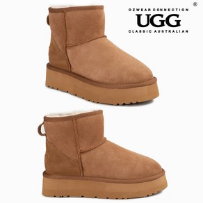 호주 어그 오즈웨어 UGG 클래식 플랫폼 여성 미니 겨울 부츠 양털 체스트넛 OB361P