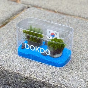 독도 이끼 테라리움 만들기 세트 DIY 키트