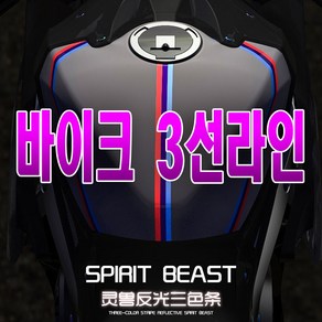 피트인 스피릿비스트 데칼 스티커 반사스티커 오토바이 BMW 데칼스티커, 1개, (선택2번)SBT프랑스