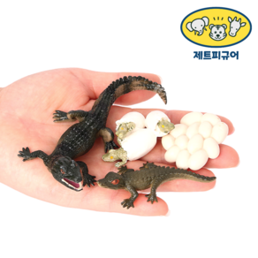 제트피규어 악어 성장과정 성장 한살이 피규어 동물 모형 장난감, 1개