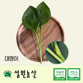 [친환경/저탄소/노지재배] 강원도 생 명이나물 대명이/잎명이/산마늘, 1, 대명이, 800g