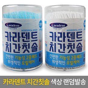 카라덴트 치간칫솔 웰터스 간편치간칫솔 300pcs [2개], 2개, 300개입